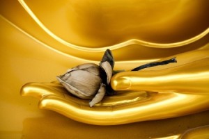 Goldene Hand